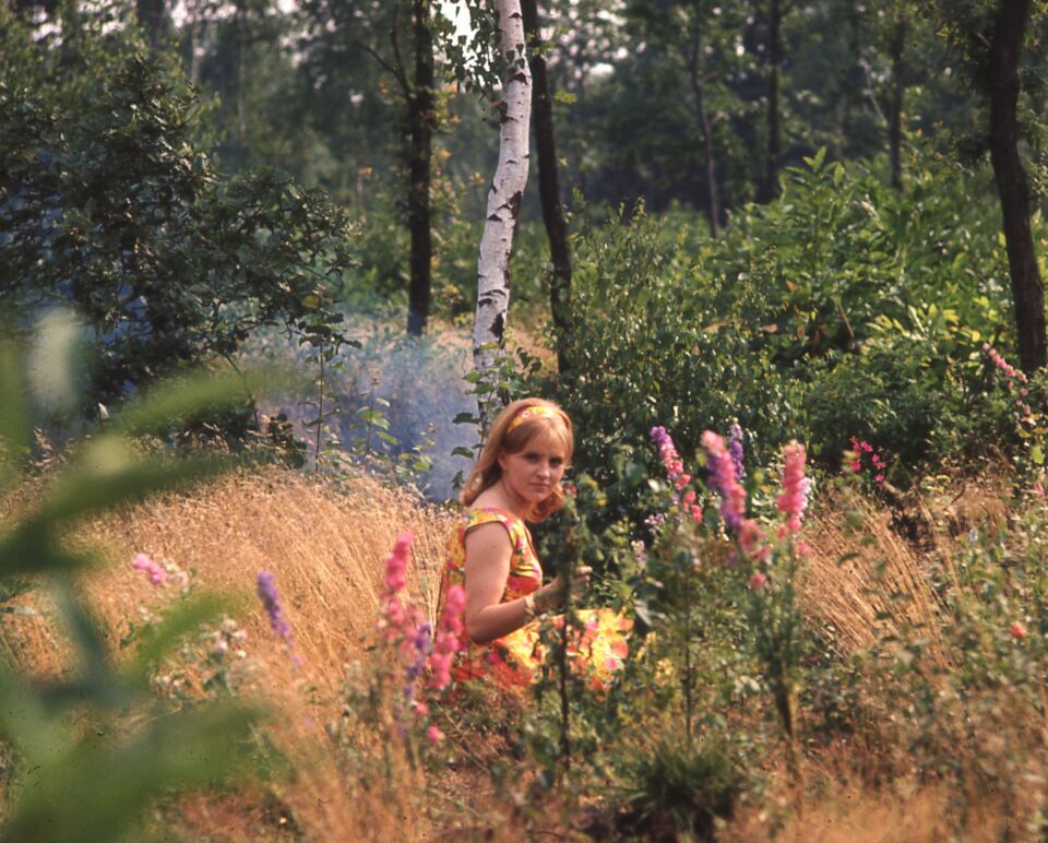 Bonheur le 29 Cine Tamaris Varda