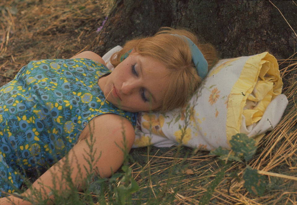 Bonheur le 35 Cine Tamaris Varda