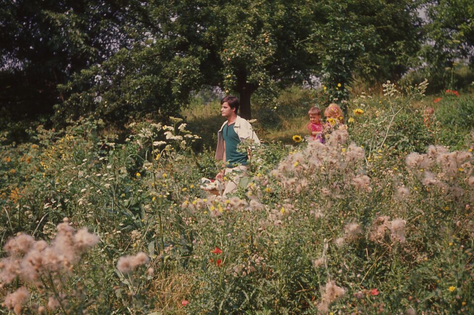 Bonheur le 37 Cine Tamaris Varda