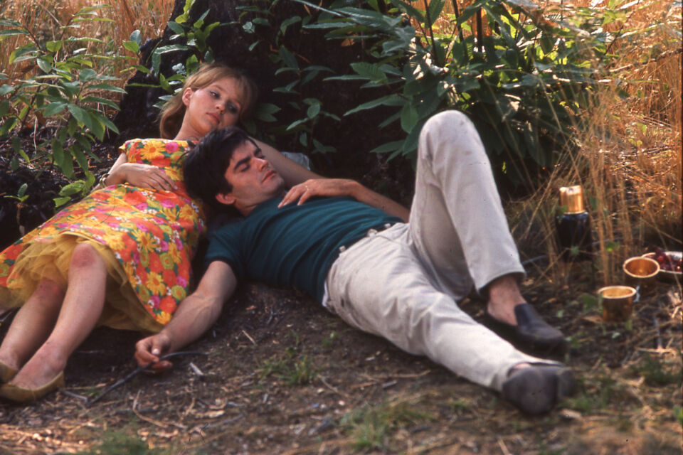 Bonheur le 38 Cine Tamaris Varda