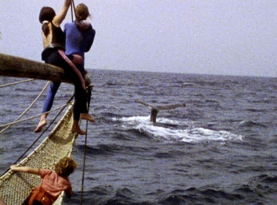 Enfants Dauphins2