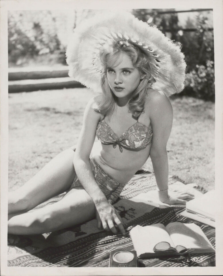 Lolita 37