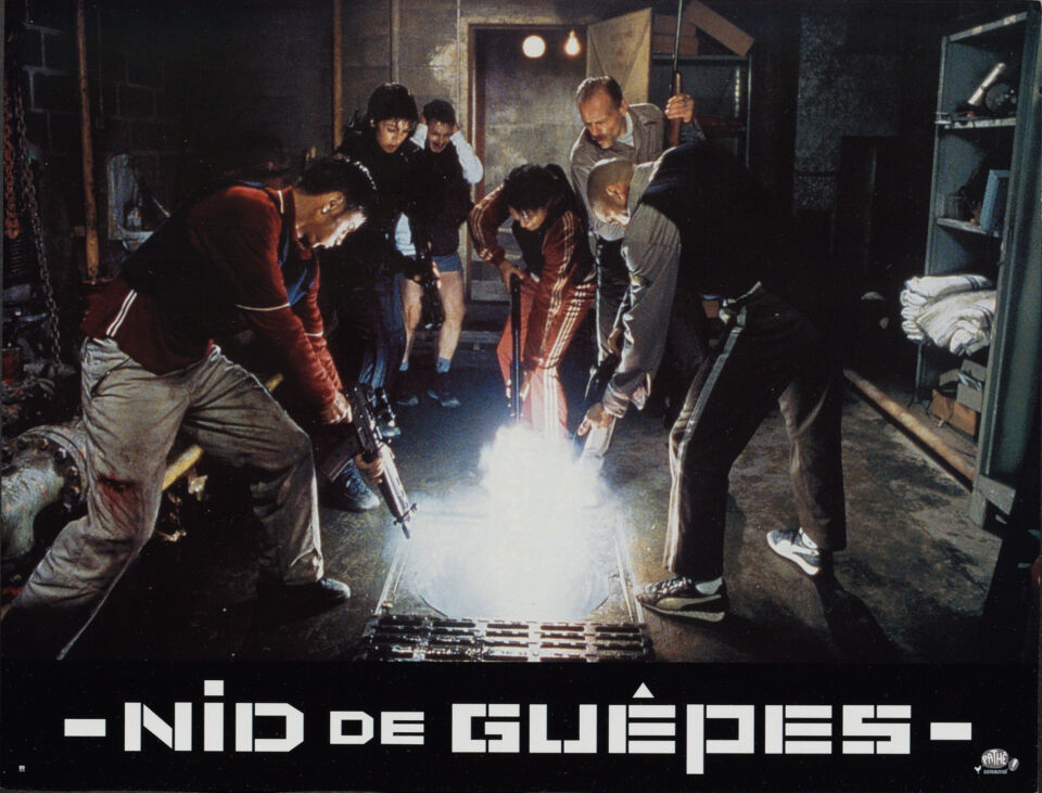Nid de guepes 4 siri