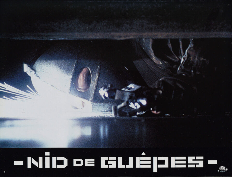 Nid de guepes 6 siri