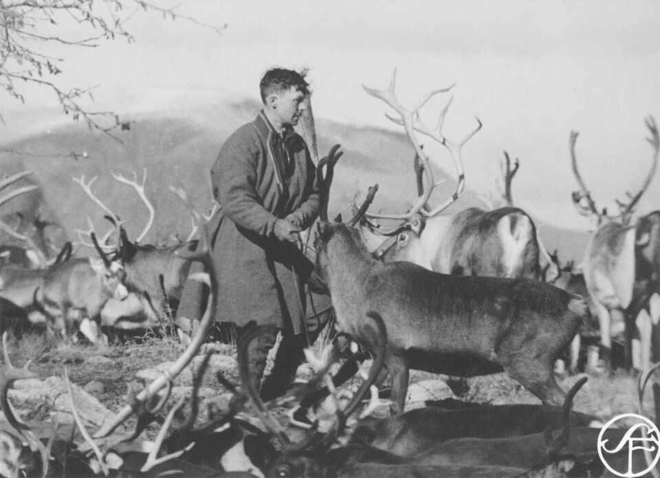 Sarvtid 003
