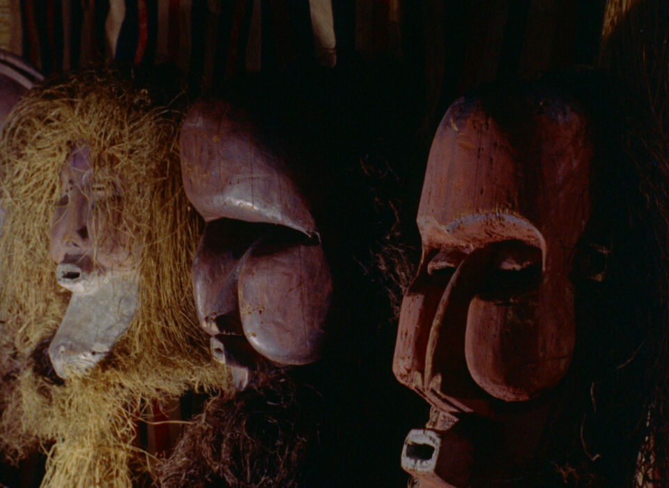 Sous le masque noir 7