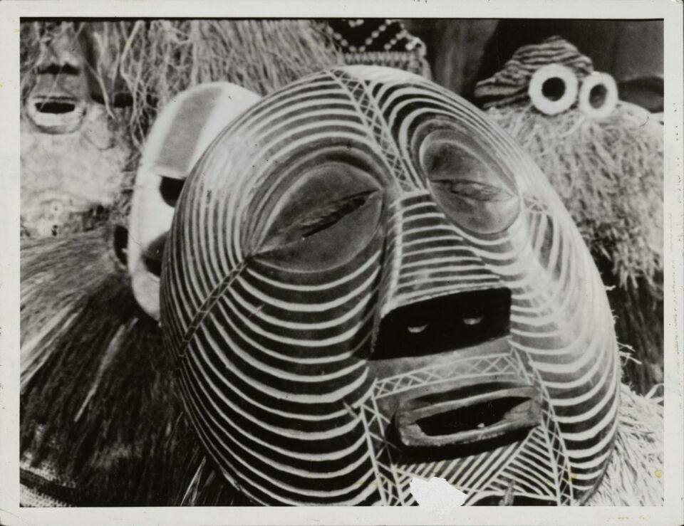 Sous le masque noir 1 haesaerts