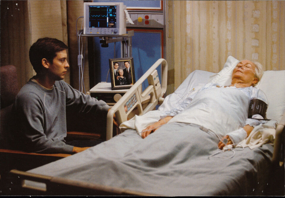 Spider man 30 raimi
