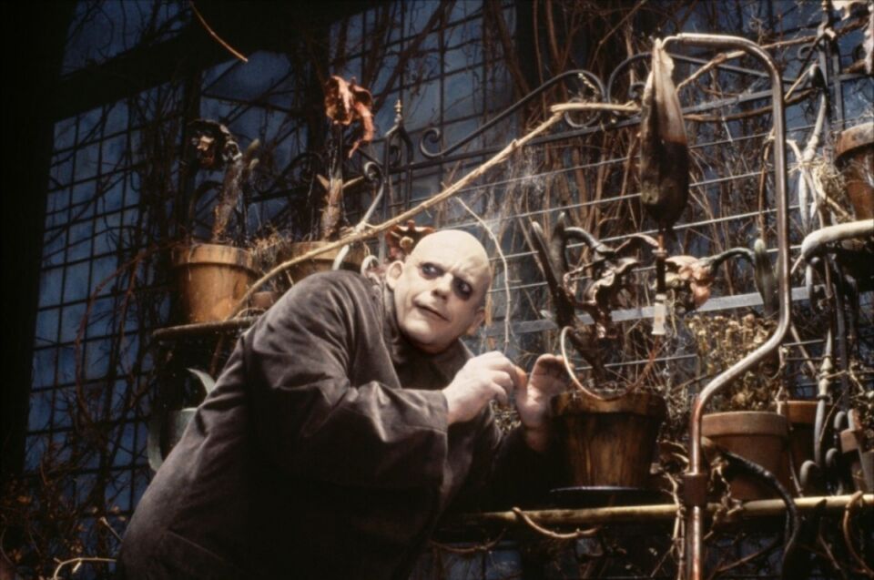 Addams Family The 22 Sonnenfeld