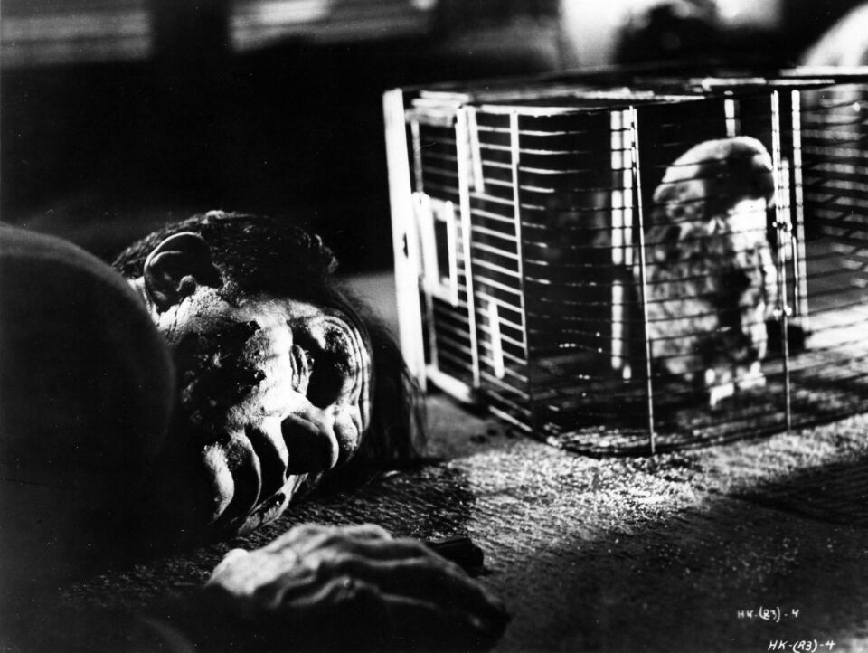 Killing the 3 Kubrick