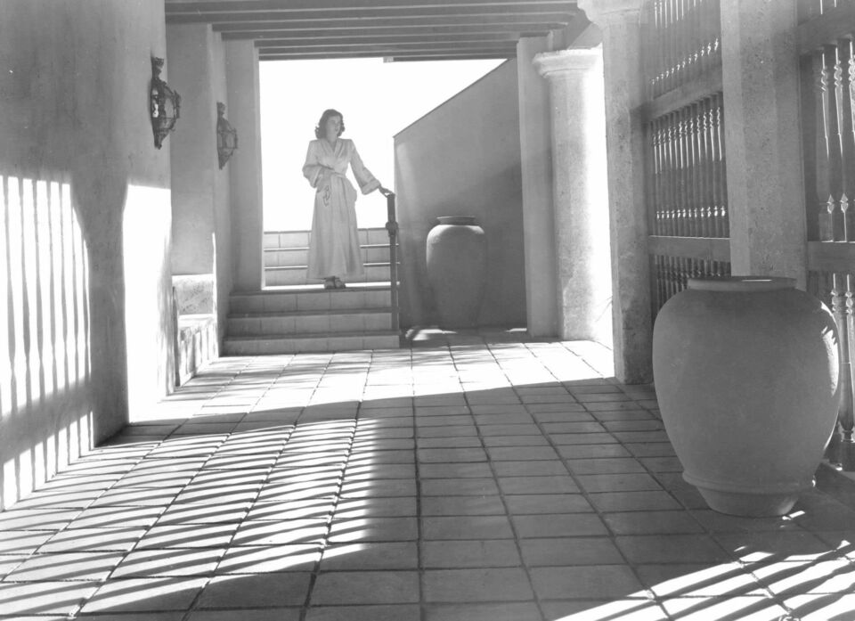The secret beyond the door 12
