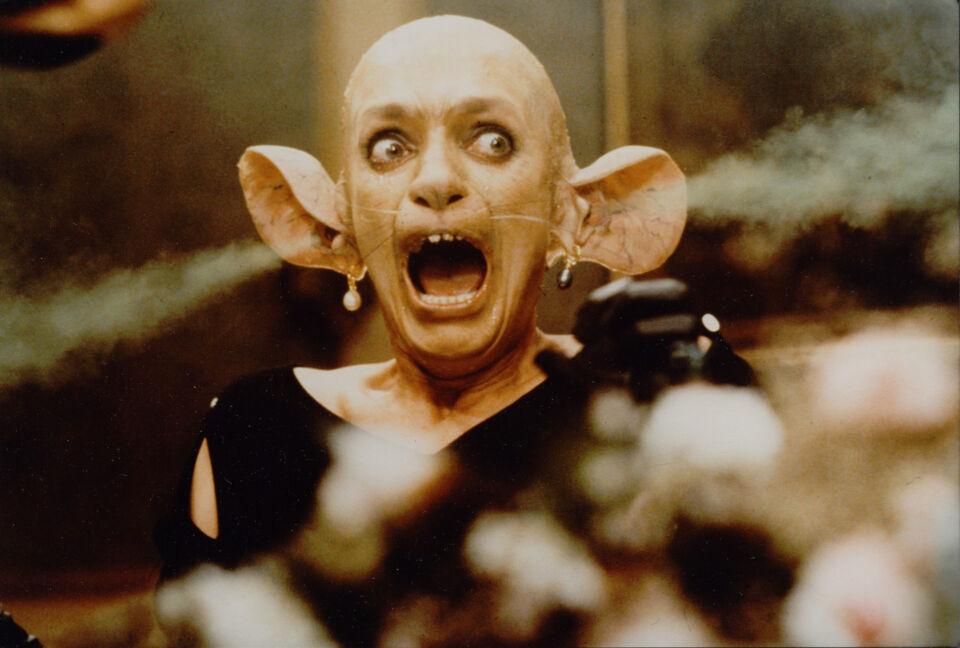 Witches the 25 roeg