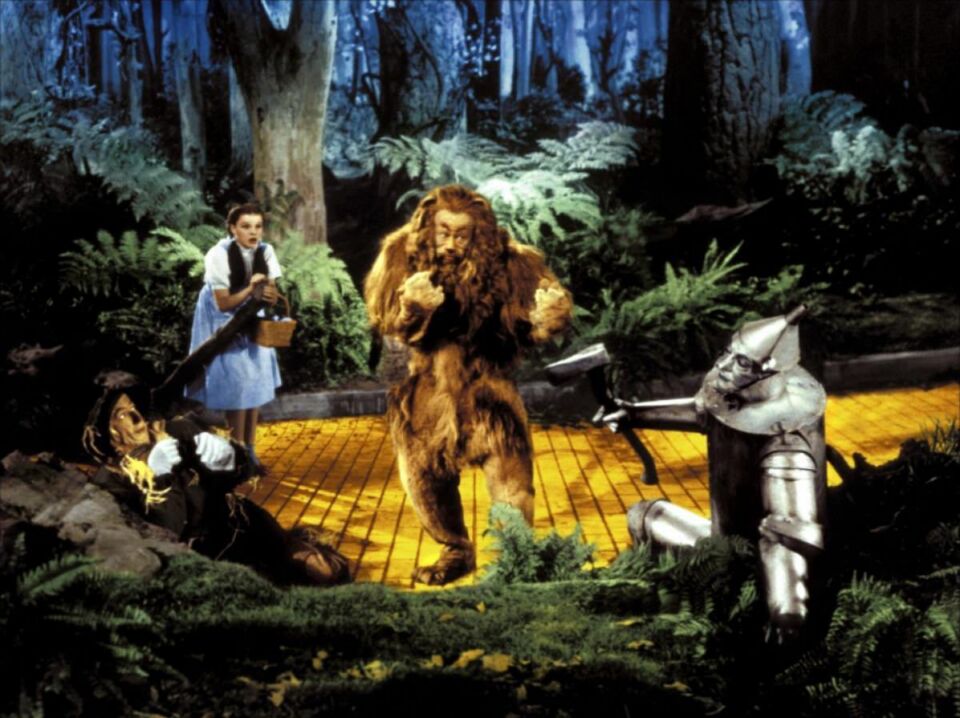 The wizard of oz 13