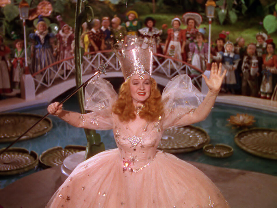 The wizard of oz 14