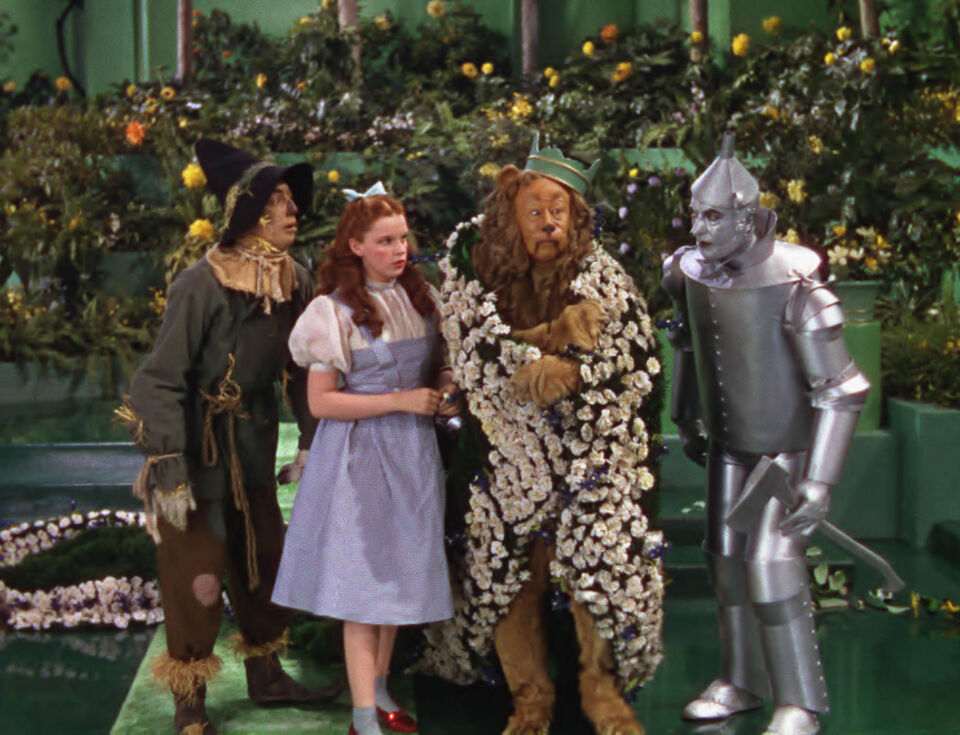 The wizard of oz 15