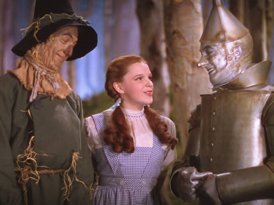 The wizard of oz 17