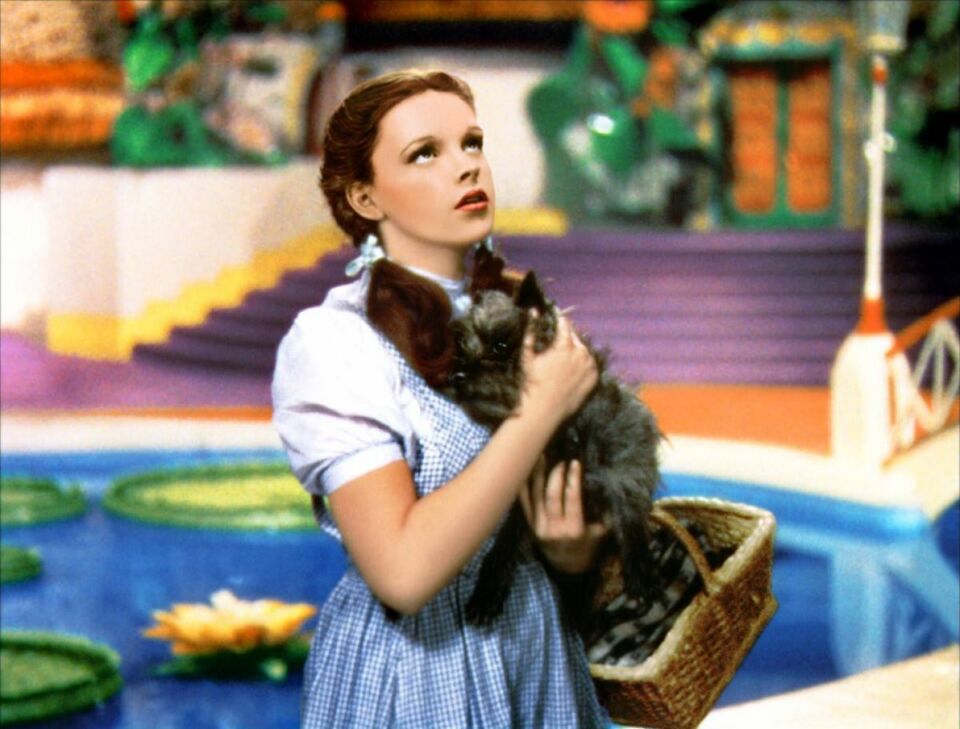 The wizard of oz 6