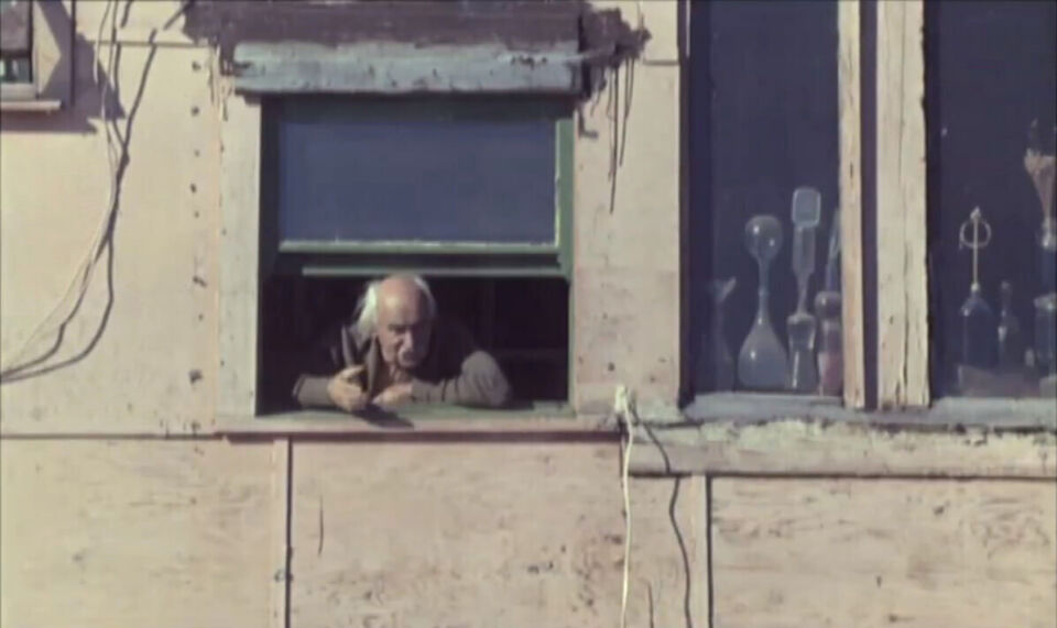 Oncle yanco 6 varda
