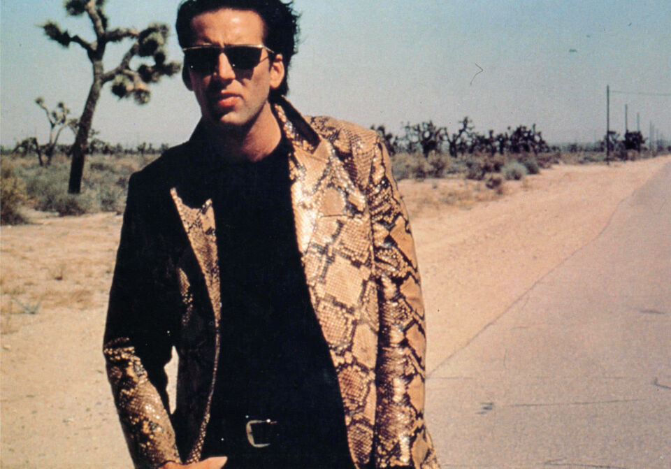Wild at heart 1