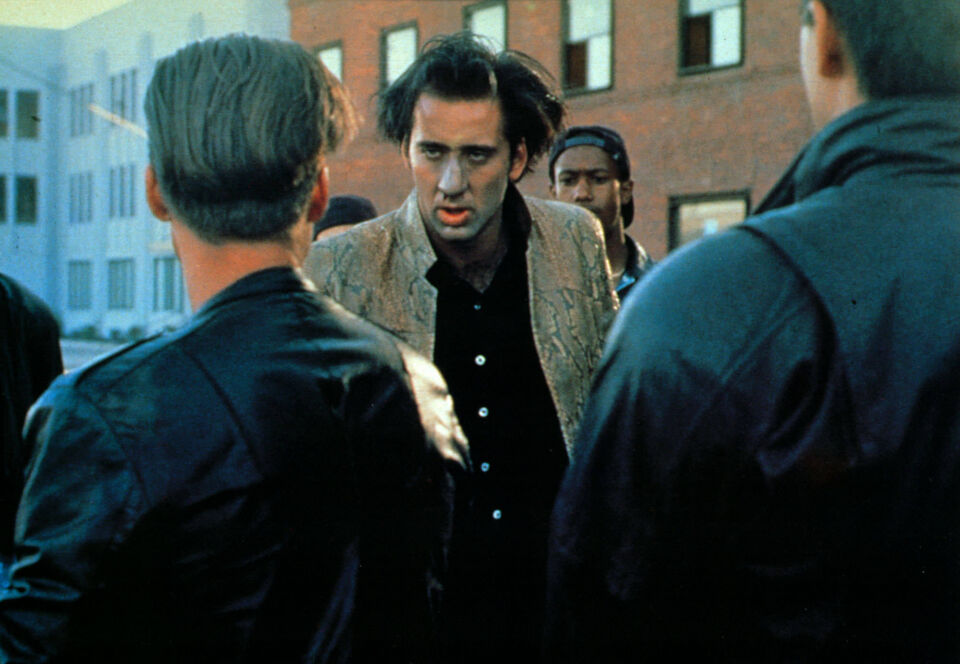 Wild at heart 5