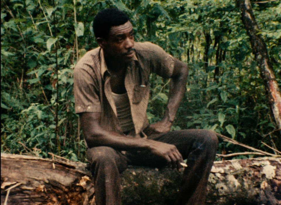 Woodcutters Of The Deep South4